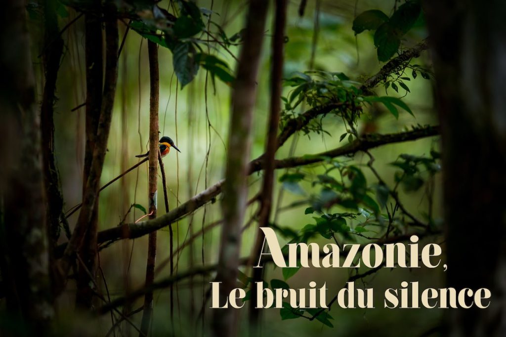 Le bruit du silence Amazonie